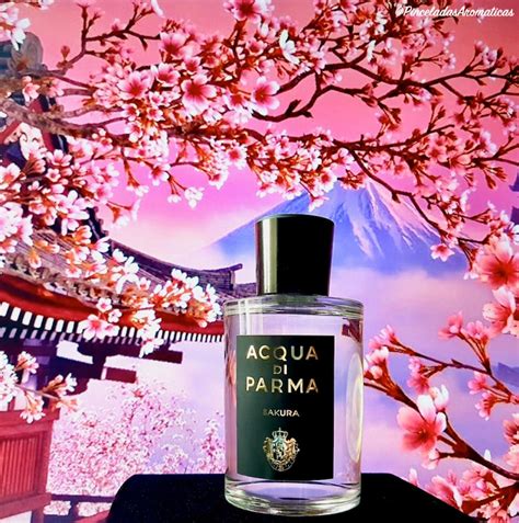 acqua di parma sakura perfume.